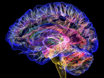 尤物插入调教视频大脑植入物有助于严重头部损伤恢复